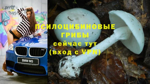 мет Нефтекумск