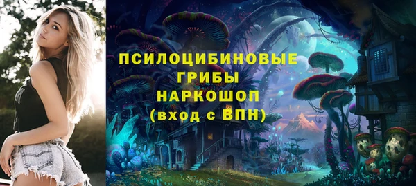 молекула духа Нея