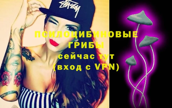 мет Нефтекумск
