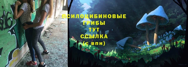 a pvp Устюжна